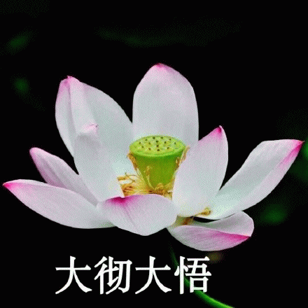 唐玄奘:唐三藏为什么总是不分青红皂白冤枉孙悟空？