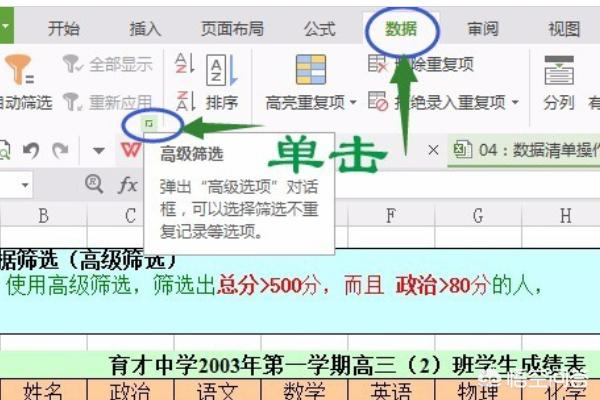 wps筛选,怎样使用WPS的筛选功能？
