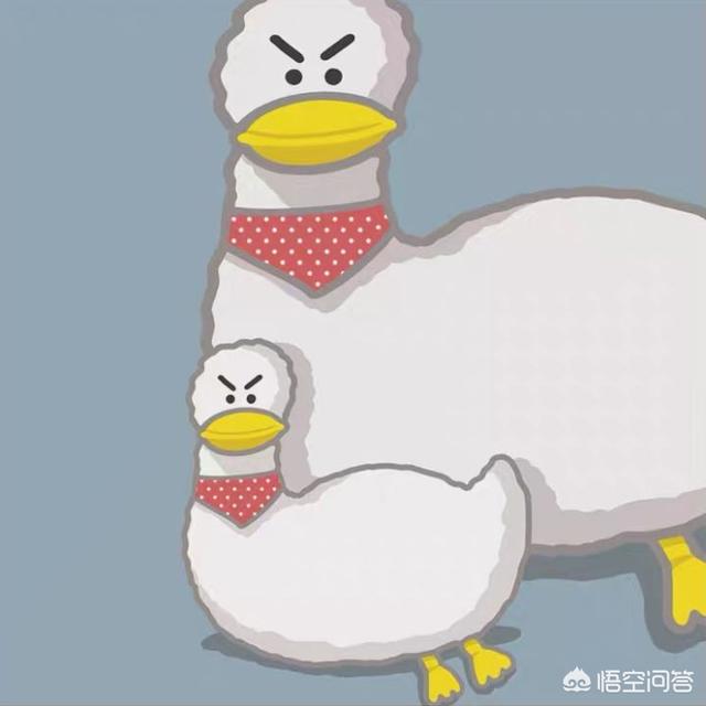 邹奇奇:你见过最猥琐的人有多猥琐？