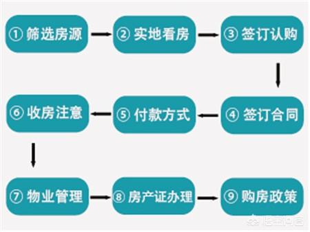 大湾区是什么意思:过去的一年用几个关键词来描述大湾区楼市，分别是什么？