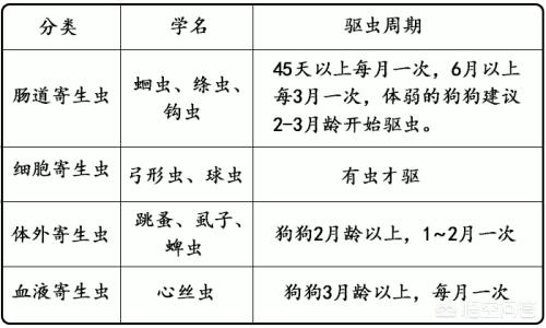 犬绦虫病传染给其他狗吗:狗狗身上的虱子会传染人吗？