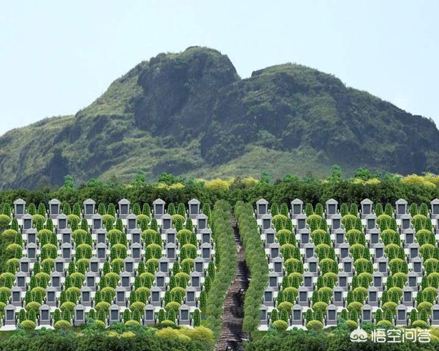 崔真实葬礼:亲人去世后把骨灰撒江河里看，可以吗