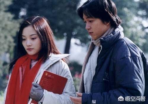李小璐演过的电视剧:李小璐演过哪些经典的角色，你认为她的演技如何