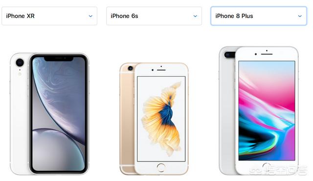 苹果6s要退休了，现在想换性价比高的苹果系列手机，哪一款比较好？插图39
