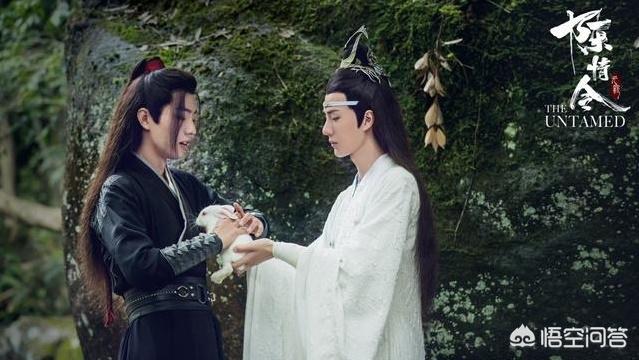 安妮海瑟薇车震:你喜欢安妮•海瑟薇还是安吉丽娜•朱莉