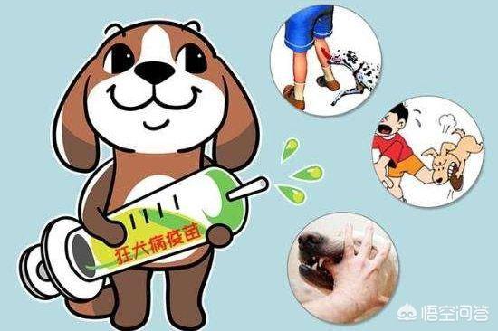 怎样判断用不用打狂犬疫苗提:怎样判断用不用打狂犬疫苗 被家里小猫抓出血了，需要打狂犬疫苗吗？