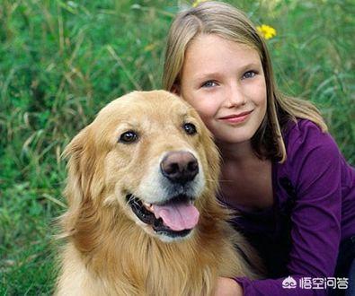 搞笑宠物狗的名字:有没有一些关于狗比较搞笑的视频？