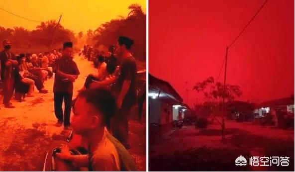印尼红毛猩猩动物园:印尼天空变血红色是怎么回事？