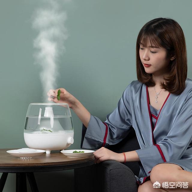 加湿器有什么作用:加湿器的作用有哪些？加湿器如何选择？