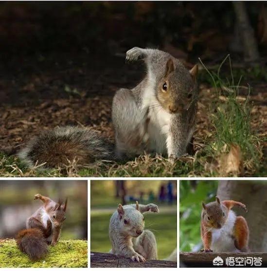 花博文化园正式闭园，小调查，你去过鼓浪屿吗？如果没有的话，你想去吗？