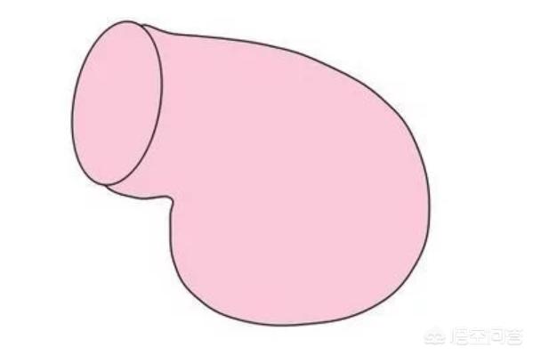 猪的简笔画,怎么画小猪乔治的简笔画？