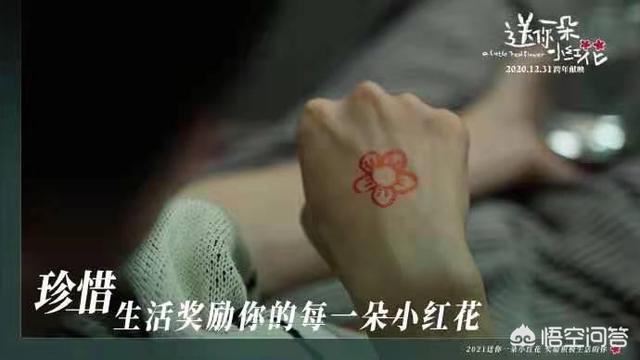 送你一朵小红花演员表:你觉得《送你一朵小红花》拍的怎么样