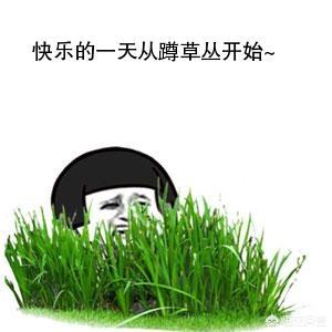 法蒂玛事件:历史上有哪些著名的、甚至是改变世界进程的暗杀事件？