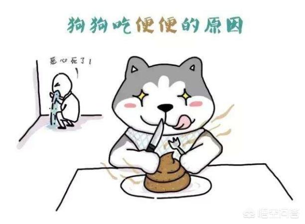 狗狗在吃便便的时候不感觉臭吗:为啥我大便基本没气味，有人的臭气冲天还冲不掉，我身体正常吗？