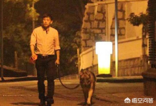唐鹤德的现在老婆:现在还有像唐鹤德这样的好男人吗？