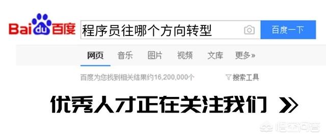 现在IT行业走哪个方向有前景（现在程序员都往哪个方向转型）？
