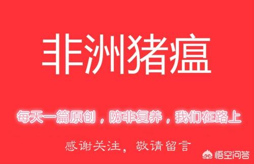 犬毒瘟灵说明书:非洲猪瘟病毒是否可以通过空气传播？如何预防？