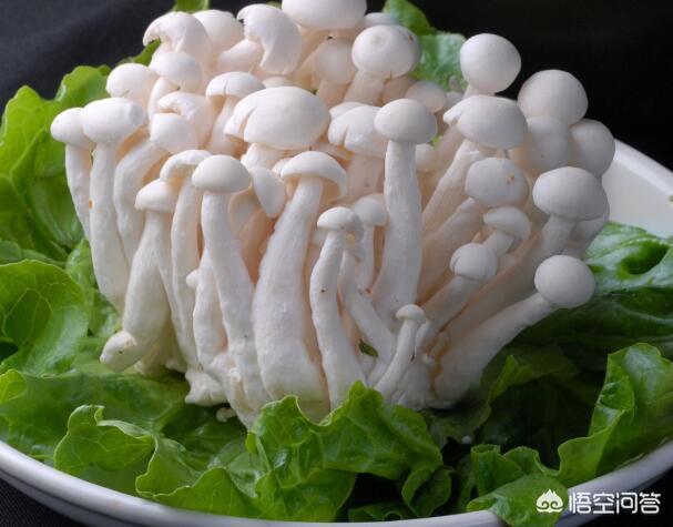 椒盐平菇怎么做蓬松酥脆，干炸鲜蘑需要几步做好怎么做更好吃