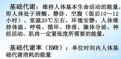 减脂时摄入量与基础代谢的关系是什么 头条问答
