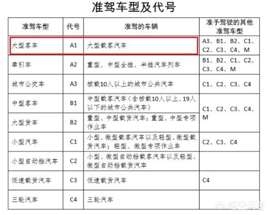 当公交车司机需要符合什么条件