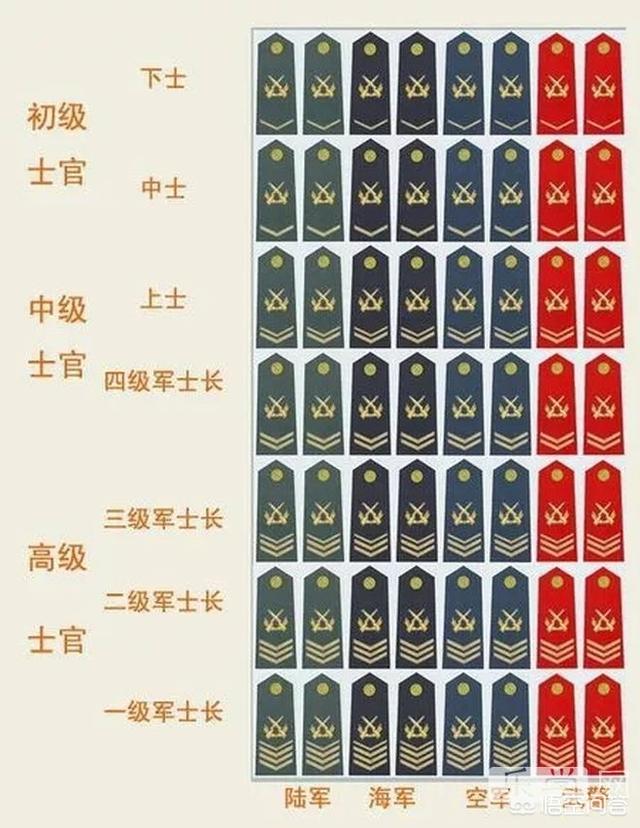 中国陆军军官学院排名图片