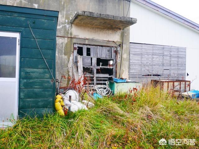 奥比岛找7色花:有北海道奥尻岛旅行攻略吗？