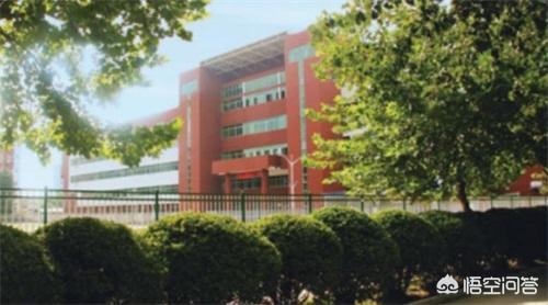石家庄经济职业学院单招的就业情况怎么样？