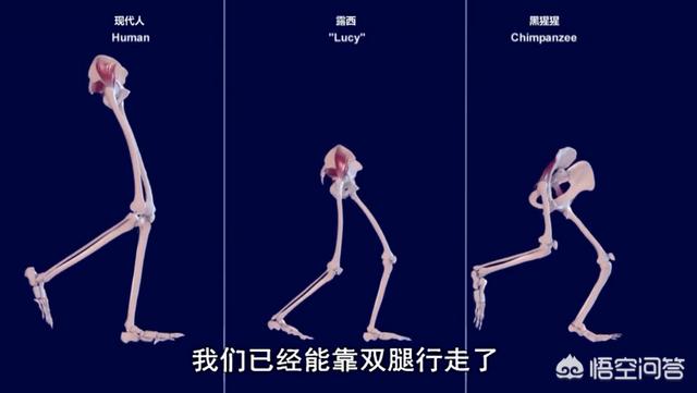 顺产是最高级别的痛，为什么大多数孕妇能撑过去