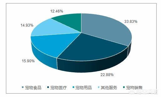 名宠社宠物调研报告:宠物问题的关注度为何没有其他行业的问题关注度高？