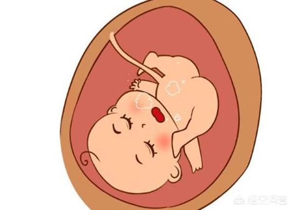 为什么有的宝宝胎动比较明显，为什么有的孕妈胎动很厉害，有的却没多大感觉