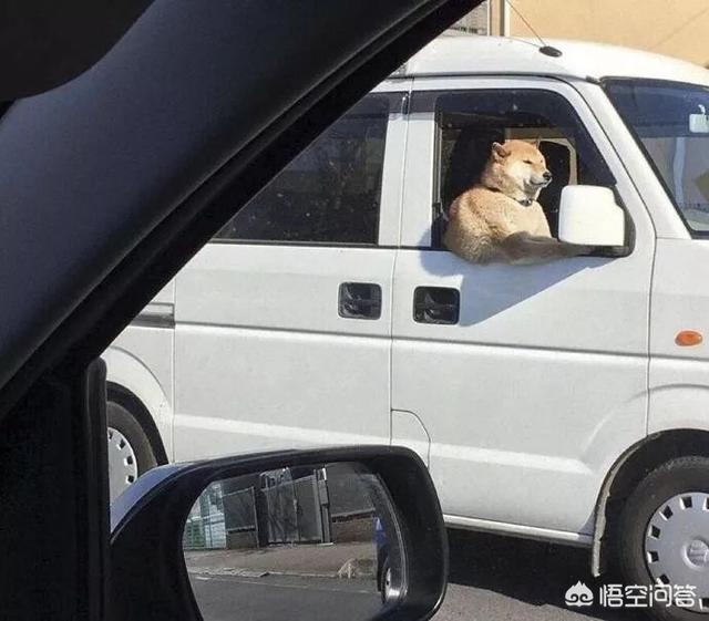 普吉岛成人秀有哪些内容，泰国有没有比较有名的旅游景点？