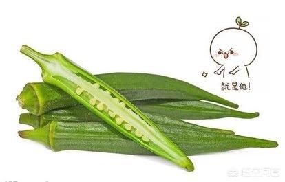 蛋白质含量高的食物:蚯蚓养殖应用高蛋白饲料吗