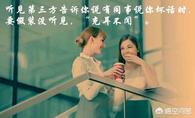 止吠器声音识别方案:金桂银桂丹桂四季桂怎样区别？