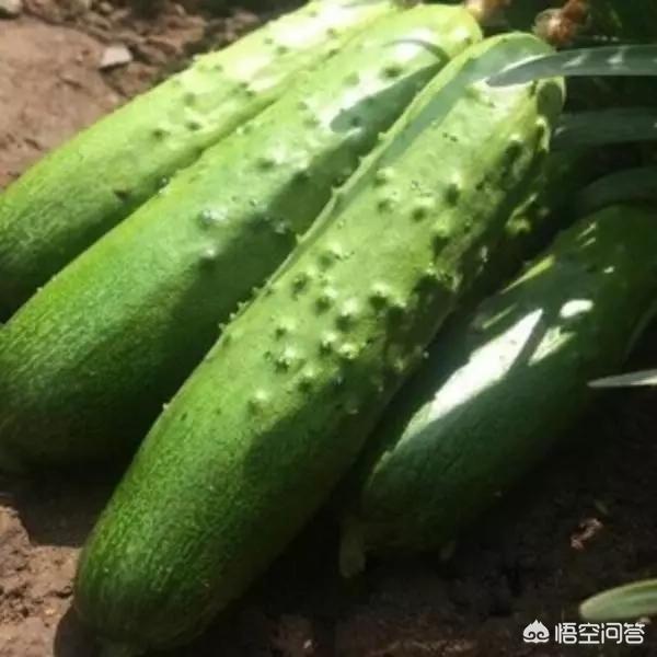 符晓薇:痛风“祸根”找到了，医生说：有3种食物要尽快远离，具体指什么