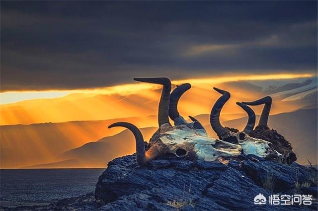 昆仑死亡谷:昆仑山被称为“地狱之门”是因为有3000高斯的强磁性吗？