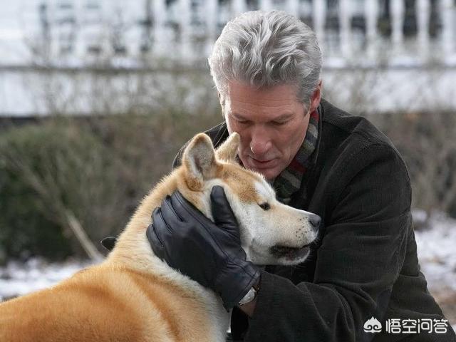 涩谷车站八公:电影《忠犬八公》观后感给人的启示是什么？