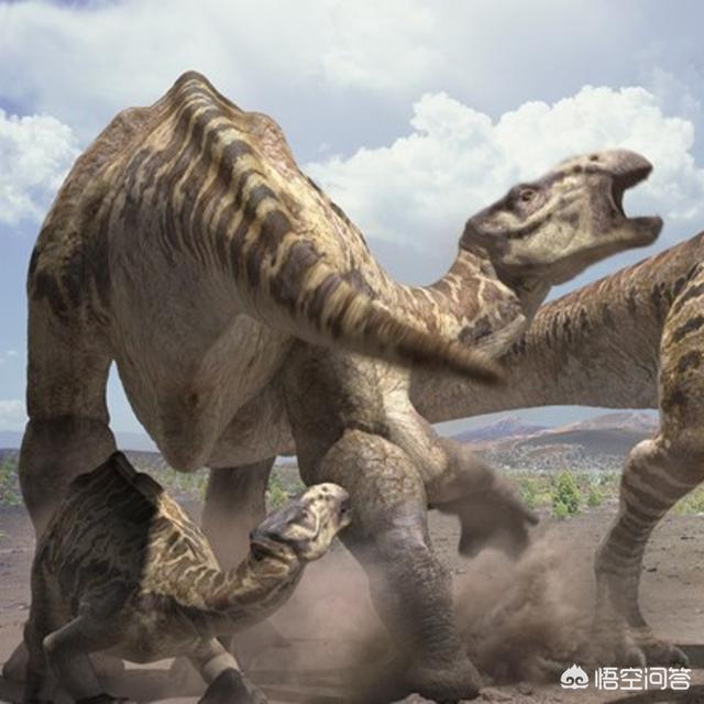 长尾鬣蜥图片:发现最早的恐龙是什么恐龙？
