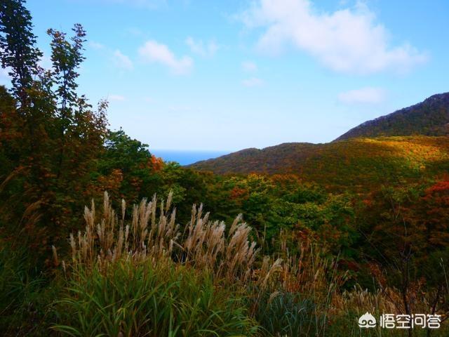 奥比岛找7色花:有北海道奥尻岛旅行攻略吗？