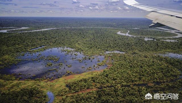 亚马逊土著纪录片，亚马逊河流内部有什么为何当地人难以靠近，莫非藏着水怪