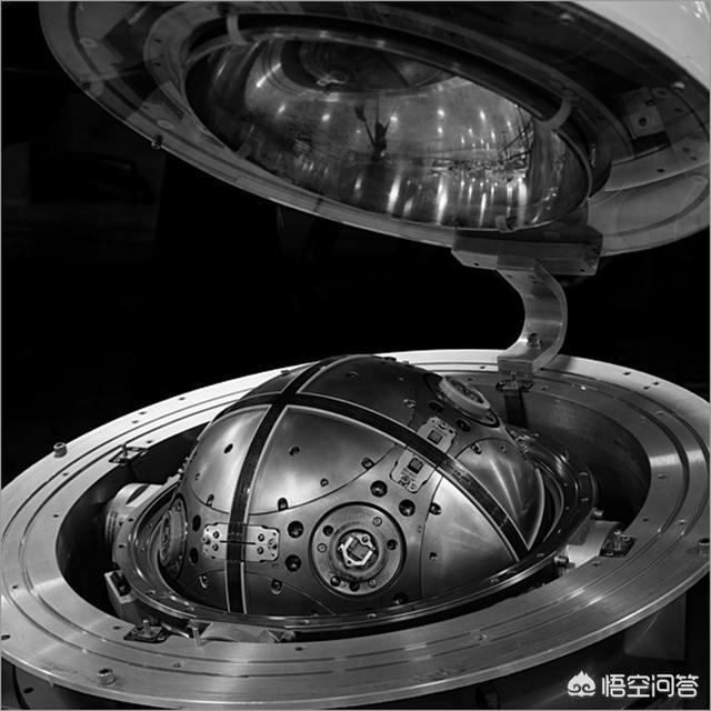 格雷伊猎犬吧:格雷伊猎犬图片 为什么丛林中的象死后看不见尸体？