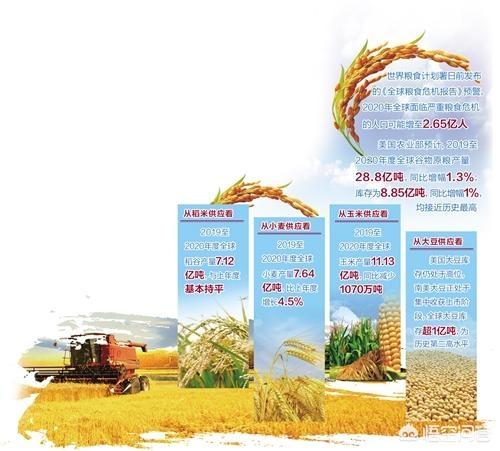 末次冰期:冰川对于人类有什么作用？