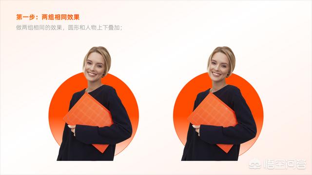 多彩鹦鹉设计素材:宝蓝迷你鹦鹉背景纸选什么颜色好？