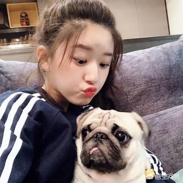 赵露思事件:如何看待赵露思频上热搜？