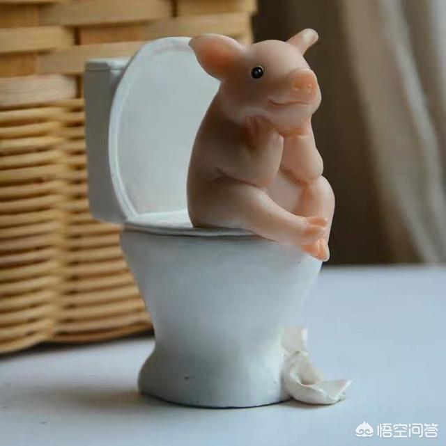 邹奇奇:你见过最猥琐的人有多猥琐？
