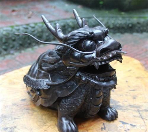 百年乌木价格:“乌木”到底是何物？它是怎样形成的？为何总能卖出天价？