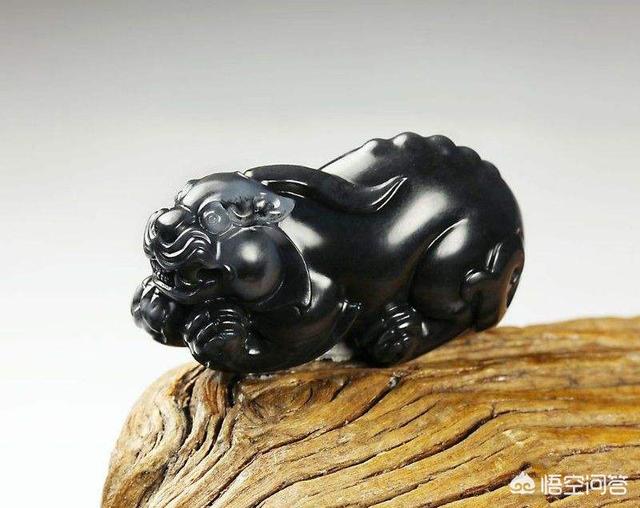 巨银斧鱼标本:你遇到过最大的淡水鱼有多大？