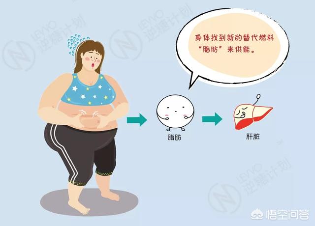 副乳和赘肉怎么区分，如何才能知道“内脏脂肪”多不多，如何减内脏脂肪