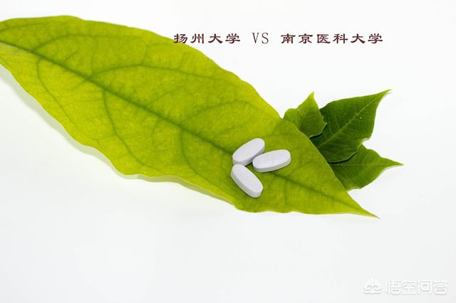 南京医科大学的药学比扬州大学药学,哪家较好？