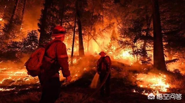 戴雨森，亚马逊森林如果烧完了，人类会受多大影响地球生态会怎么样