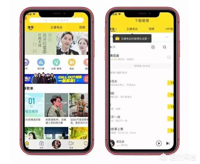 嘻哈斗牛犬的主页:什么音乐播放器是目前国内最好的？